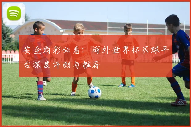 安全购彩必看：海外世界杯买球平台深度评测与推荐