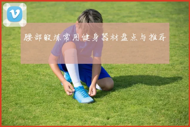 腰部锻炼常用健身器材盘点与推荐