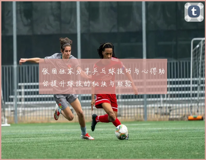 张丽独家分享乒乓球技巧与心得助你提升球技的秘诀与经验