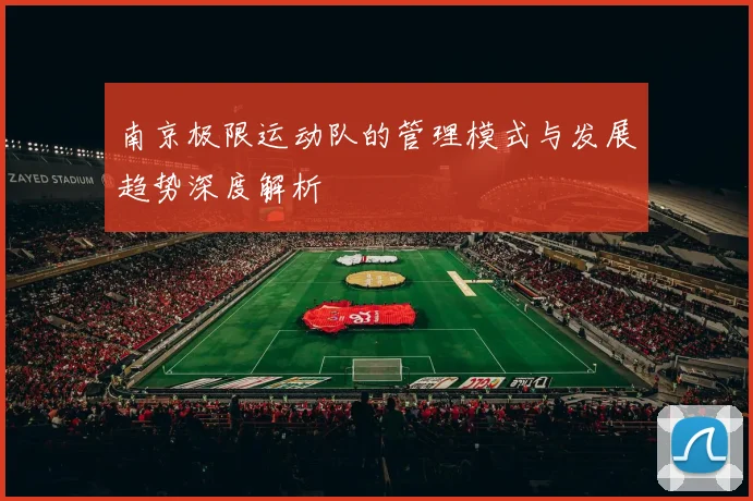 南京极限运动队的管理模式与发展趋势深度解析